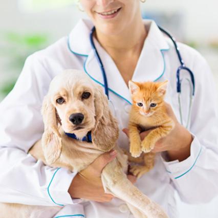 dog-cat-vaccines